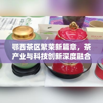 鄂西茶區(qū)繁榮新篇章，茶產業(yè)與科技創(chuàng)新深度融合引領發(fā)展之路