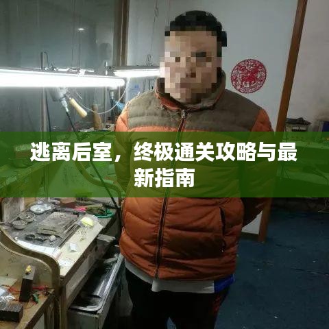 逃離后室，終極通關攻略與最新指南