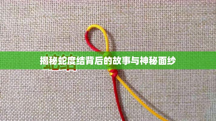 揭秘蛇度結背后的故事與神秘面紗