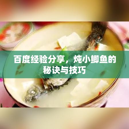 百度經(jīng)驗(yàn)分享,燉小鯽魚的秘訣與技巧