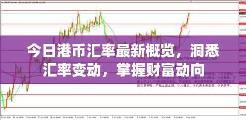 今日港幣匯率最新概覽,洞悉匯率變動,掌握財(cái)富動向