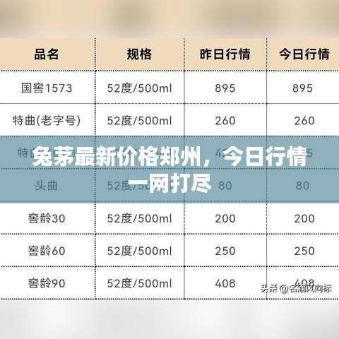 兔茅最新價格鄭州，今日行情一網(wǎng)打盡