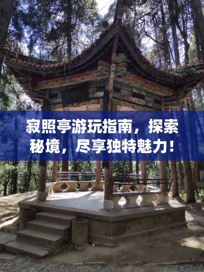 寂照亭游玩指南，探索秘境，盡享獨特魅力！