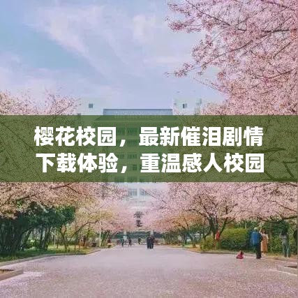櫻花校園,最新催淚劇情下載體驗,重溫感人校園時光