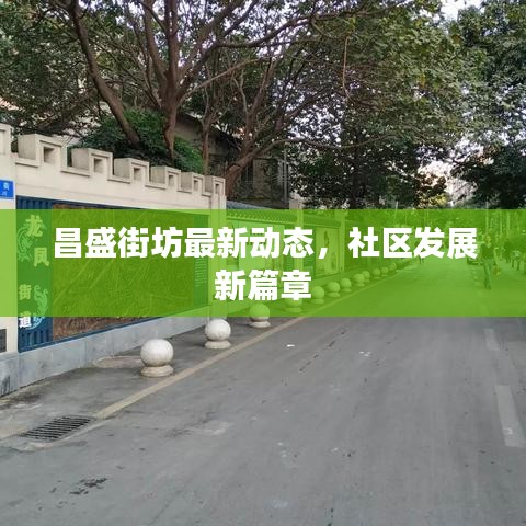 昌盛街坊最新動態，社區發展新篇章