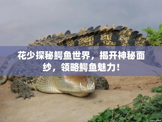 花少探秘鱷魚世界，揭開神秘面紗，領略鱷魚魅力！