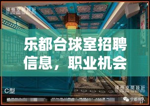 樂都臺球室招聘信息,職業機會與休閑娛樂的完美結合,最新職位等你來挑戰!