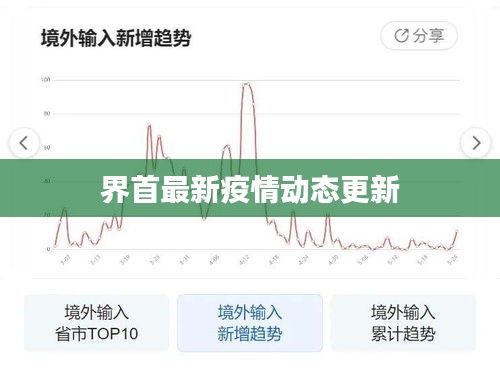 界首最新疫情動態更新