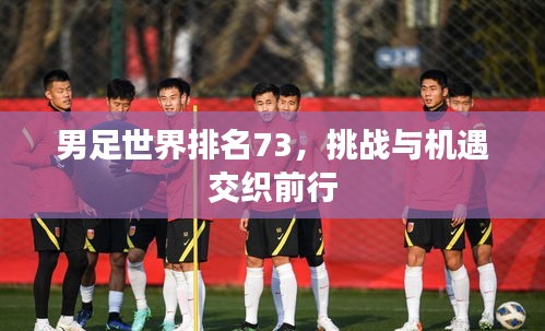 男足世界排名73,挑戰與機遇交織前行