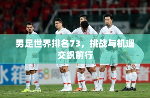 男足世界排名73,挑戰與機遇交織前行