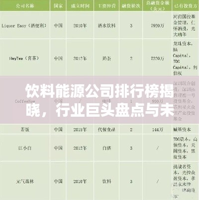 飲料能源公司排行榜揭曉，行業巨頭盤點與未來趨勢預測
