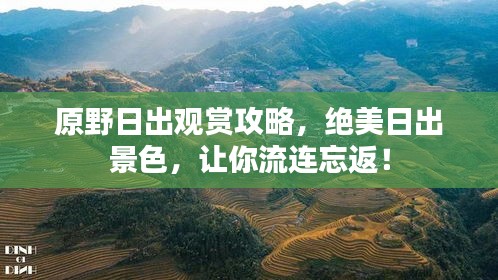 原野日出觀賞攻略，絕美日出景色，讓你流連忘返！