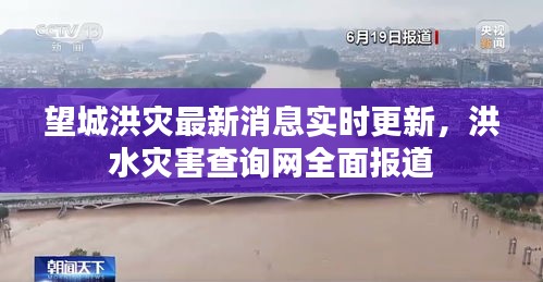 望城洪災(zāi)最新消息實時更新，洪水災(zāi)害查詢網(wǎng)全面報道