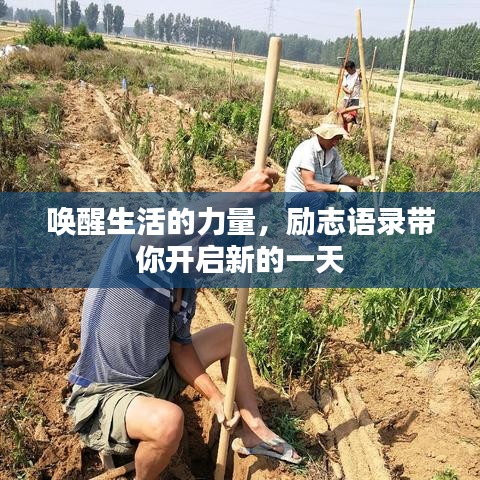 喚醒生活的力量，勵志語錄帶你開啟新的一天