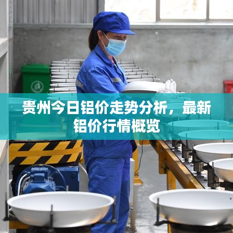 貴州今日鋁價走勢分析，最新鋁價行情概覽