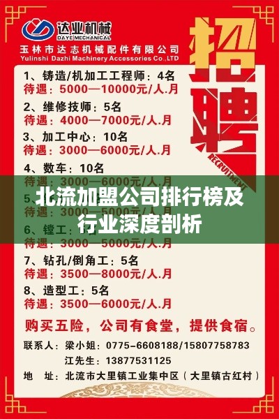 北流加盟公司排行榜及行業深度剖析