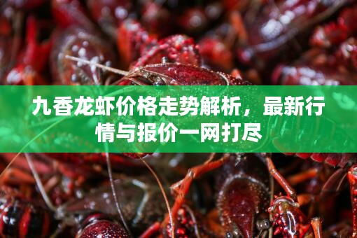 九香龍蝦價(jià)格走勢(shì)解析，最新行情與報(bào)價(jià)一網(wǎng)打盡