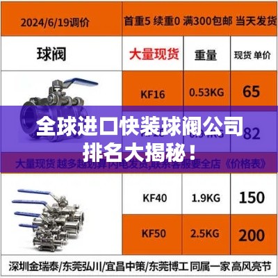 全球進口快裝球閥公司排名大揭秘！