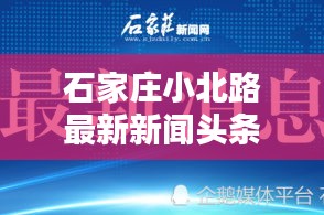 石家莊小北路最新新聞頭條搶先看