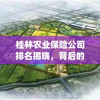 桂林農業保險公司排名揭曉，背后的故事引人關注