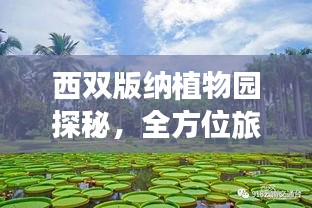 西雙版納植物園探秘,全方位旅游攻略