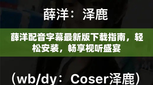 薛洋配音字幕最新版下載指南，輕松安裝，暢享視聽盛宴