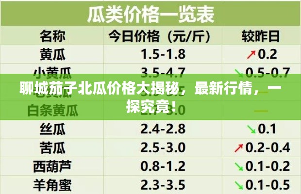 聊城茄子北瓜價格大揭秘，最新行情，一探究竟！