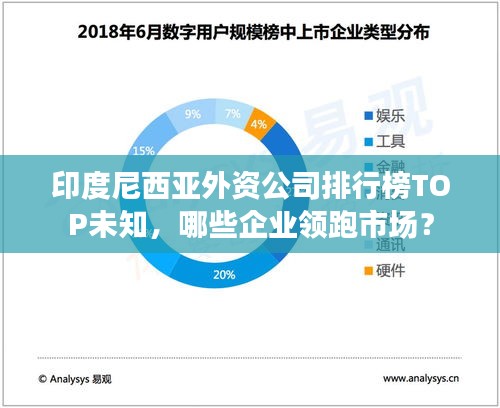 印度尼西亞外資公司排行榜TOP未知，哪些企業領跑市場？