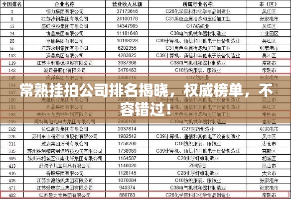 常熟掛拍公司排名揭曉,權(quán)威榜單,不容錯過!