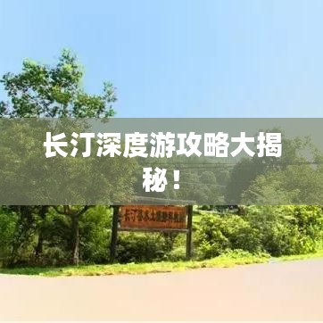 一絲不茍 第2頁