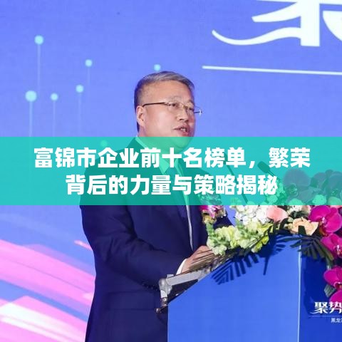 富錦市企業前十名榜單,繁榮背后的力量與策略揭秘