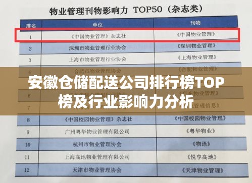 安徽倉儲配送公司排行榜TOP榜及行業影響力分析