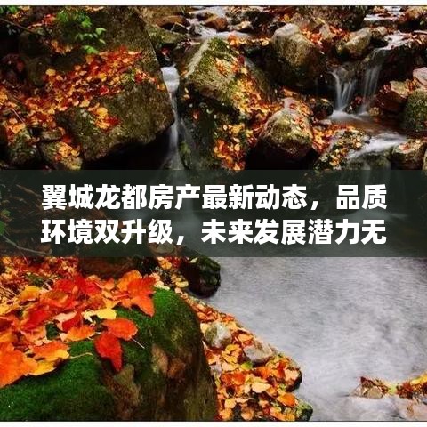 翼城龍都房產最新動態,品質環境雙升級,未來發展潛力無限