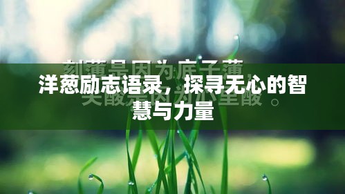 洋蔥勵志語錄，探尋無心的智慧與力量