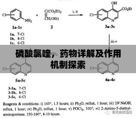 磷酸氯喹,藥物詳解及作用機制探索