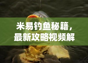米易釣魚秘籍,最新攻略視頻解析,讓你輕松釣上大魚!