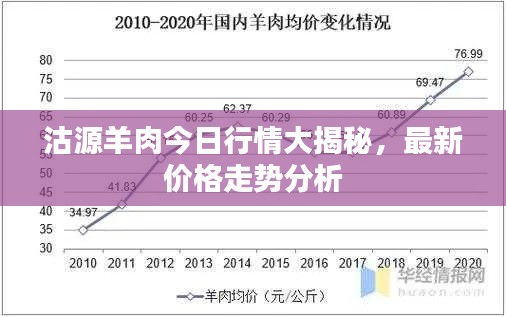 沽源羊肉今日行情大揭秘，最新價格走勢分析