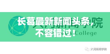 長葛最新新聞頭條,不容錯過!