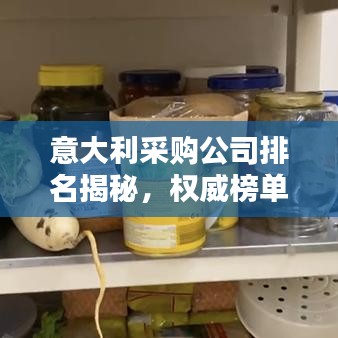 意大利采購公司排名揭秘，權(quán)威榜單揭曉頂級企業(yè)榜單