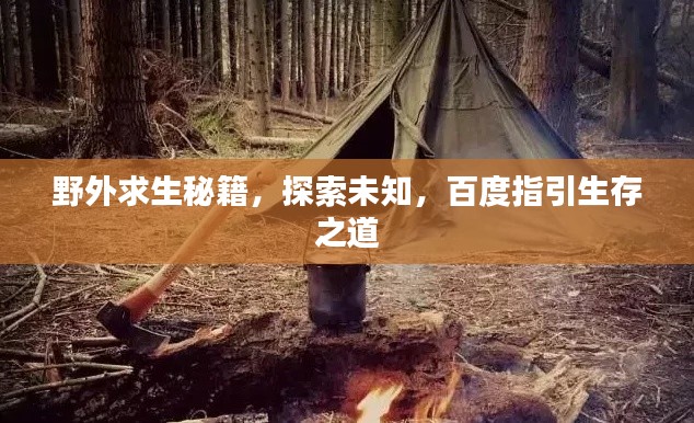 野外求生秘籍,探索未知,百度指引生存之道