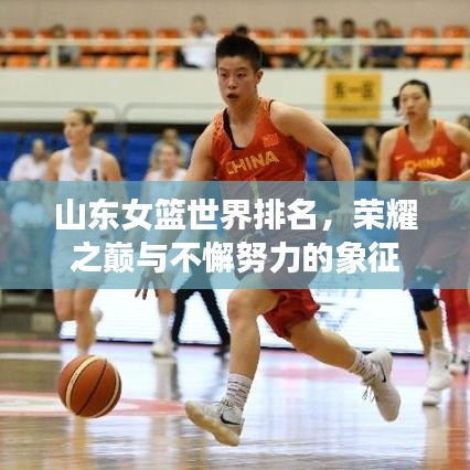 山東女籃世界排名，榮耀之巔與不懈努力的象征