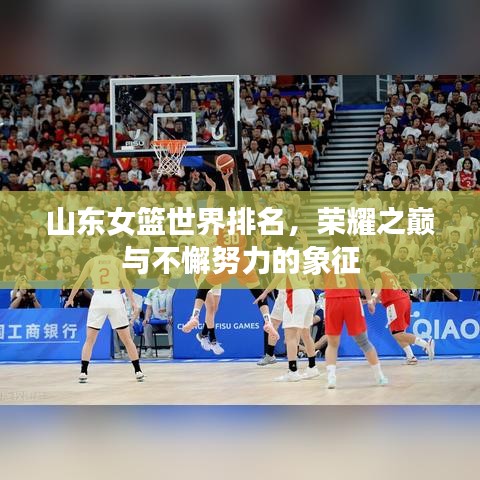 山東女籃世界排名,榮耀之巔與不懈努力的象征
