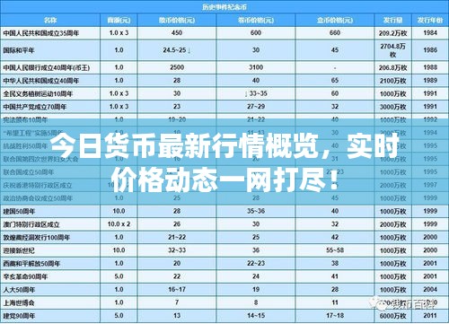 今日貨幣最新行情概覽,實時價格動態一網打盡!