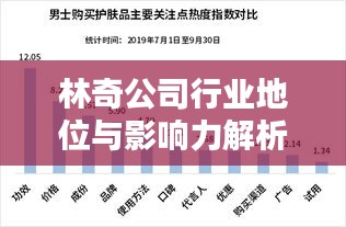 林奇公司行業地位與影響力解析,揭秘其在行業中的排名及深遠影響