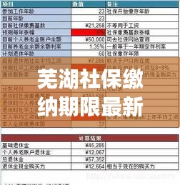 蕪湖社保繳納期限最新規定解讀，你需要知道的最新繳納期限！