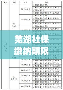 蕪湖社保繳納期限最新規(guī)定解讀,你需要知道的最新繳納期限!