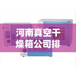 河南真空干燥箱公司排行榜及行業(yè)影響力解析