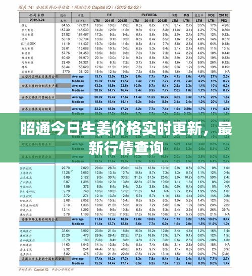昭通今日生姜價(jià)格實(shí)時(shí)更新，最新行情查詢