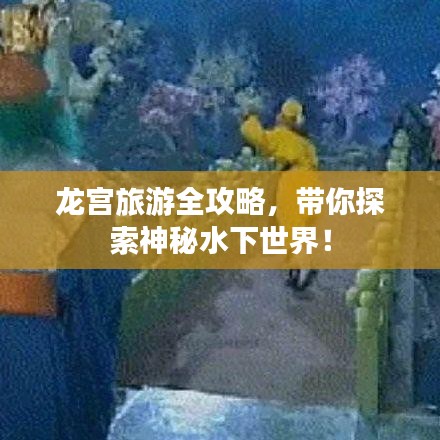 龍宮旅游全攻略,帶你探索神秘水下世界!
