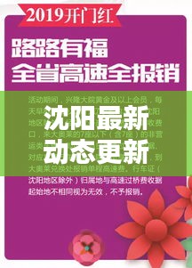 沈陽最新動態更新速遞